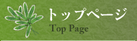 トップページ